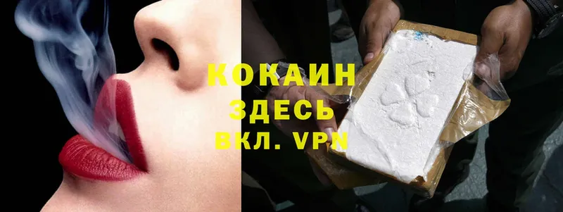 COCAIN Fish Scale  Кизел 