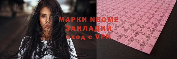 шишки Осташков