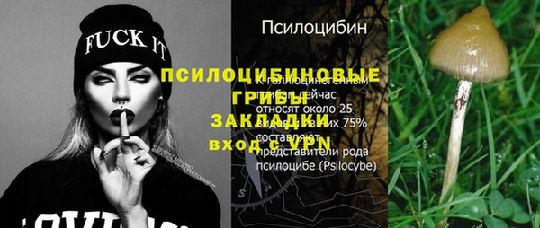 ГАЛЛЮЦИНОГЕННЫЕ ГРИБЫ Нязепетровск