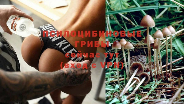 кокаин премиум Осинники