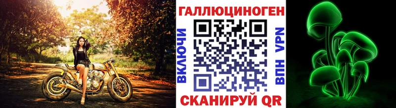 хочу   Кизел  Галлюциногенные грибы GOLDEN TEACHER 
